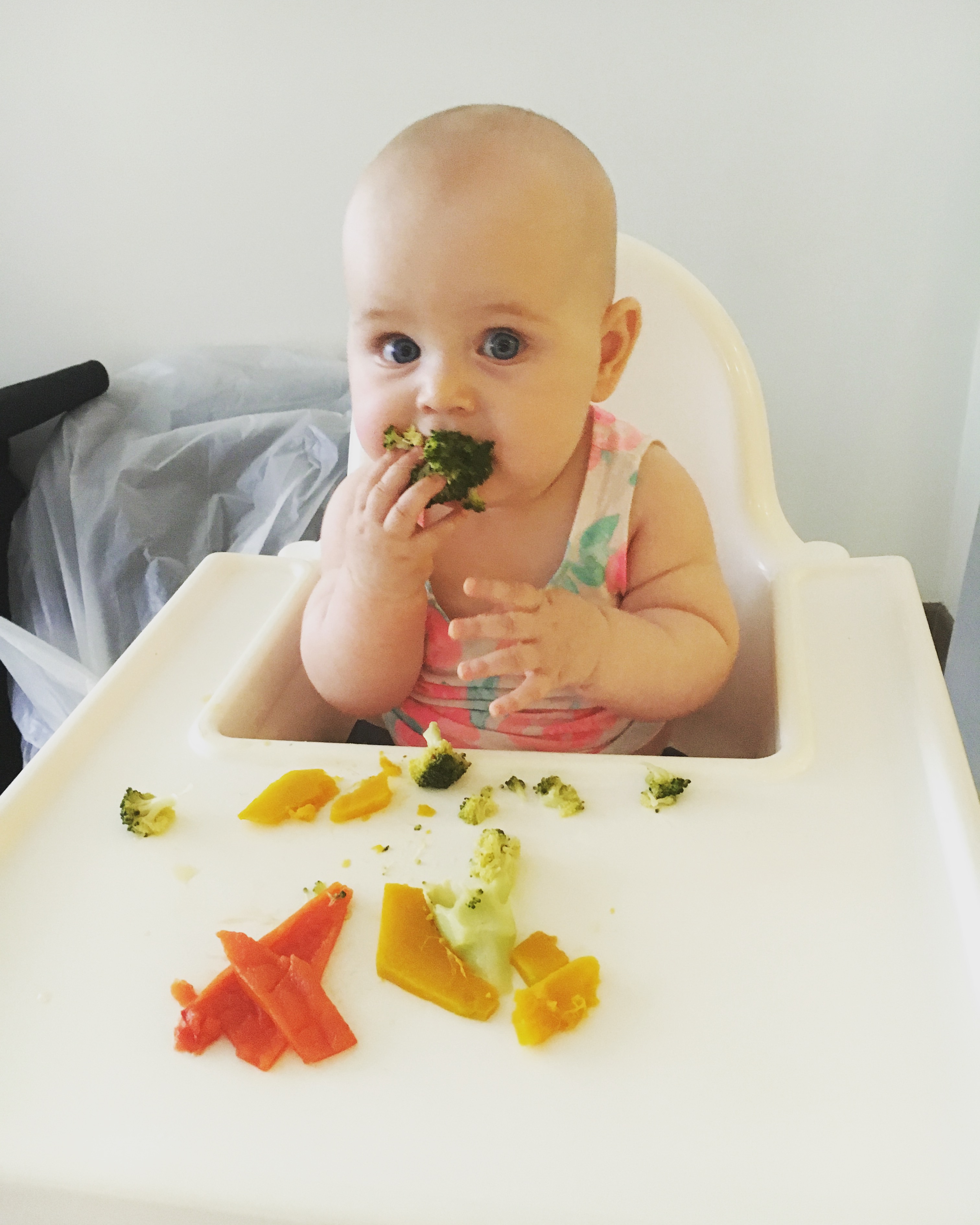 Img 0013 Baby Led Weaning Ideas