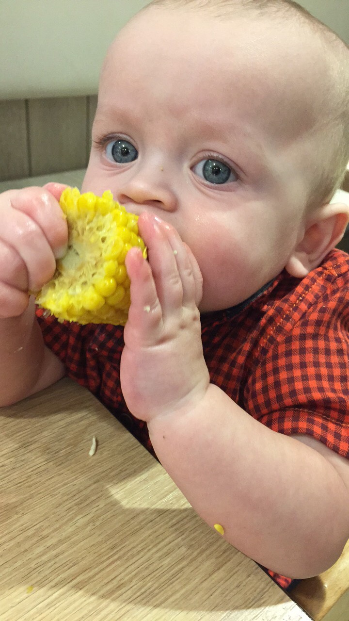 baby led weaning