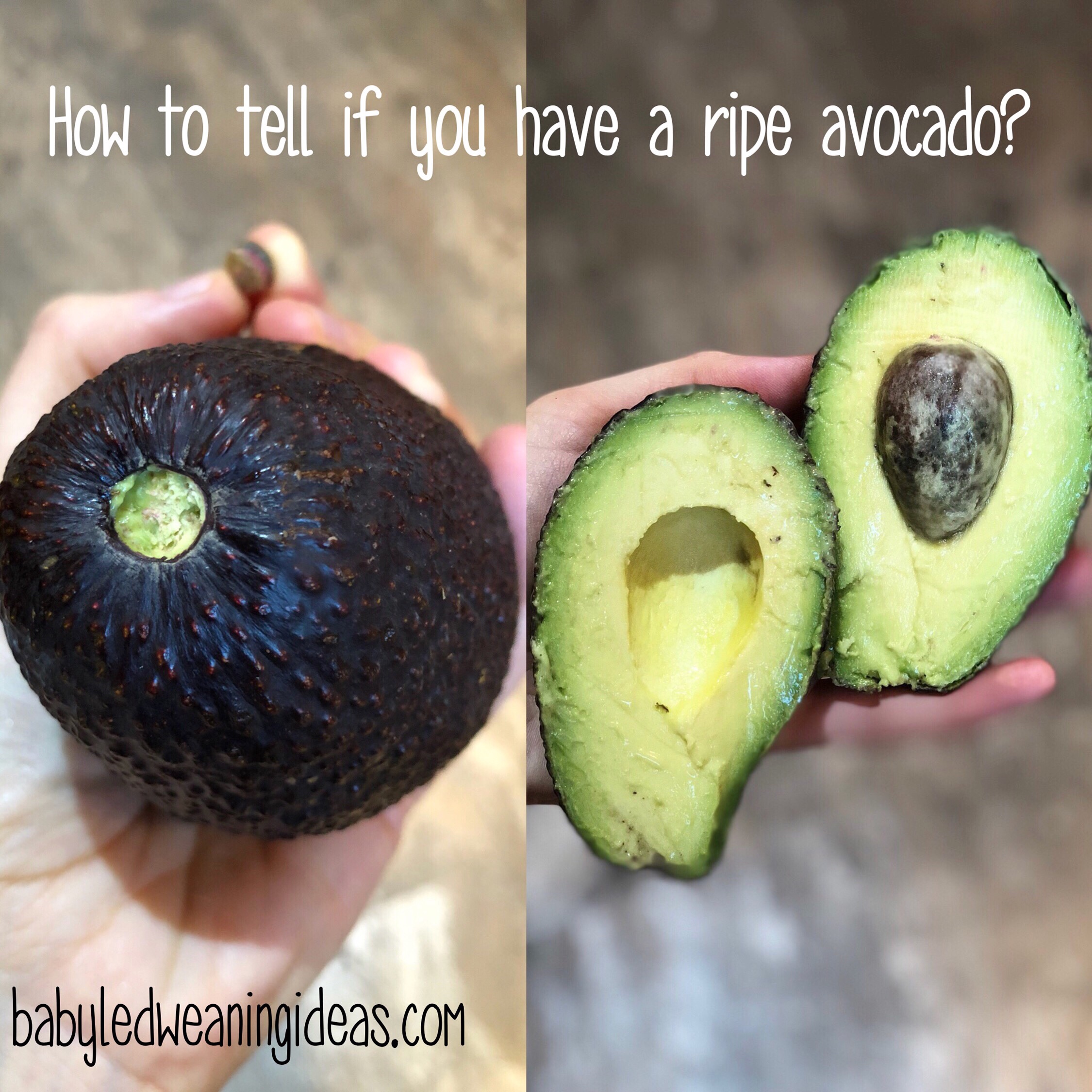 How to tell if you have a ripe avocado? ? - Baby Led ...