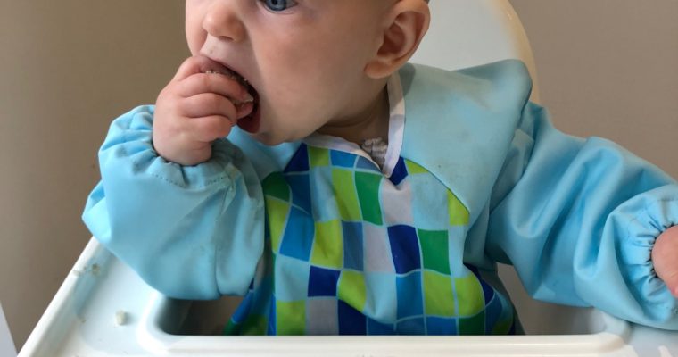 What is Baby Led Weaning?