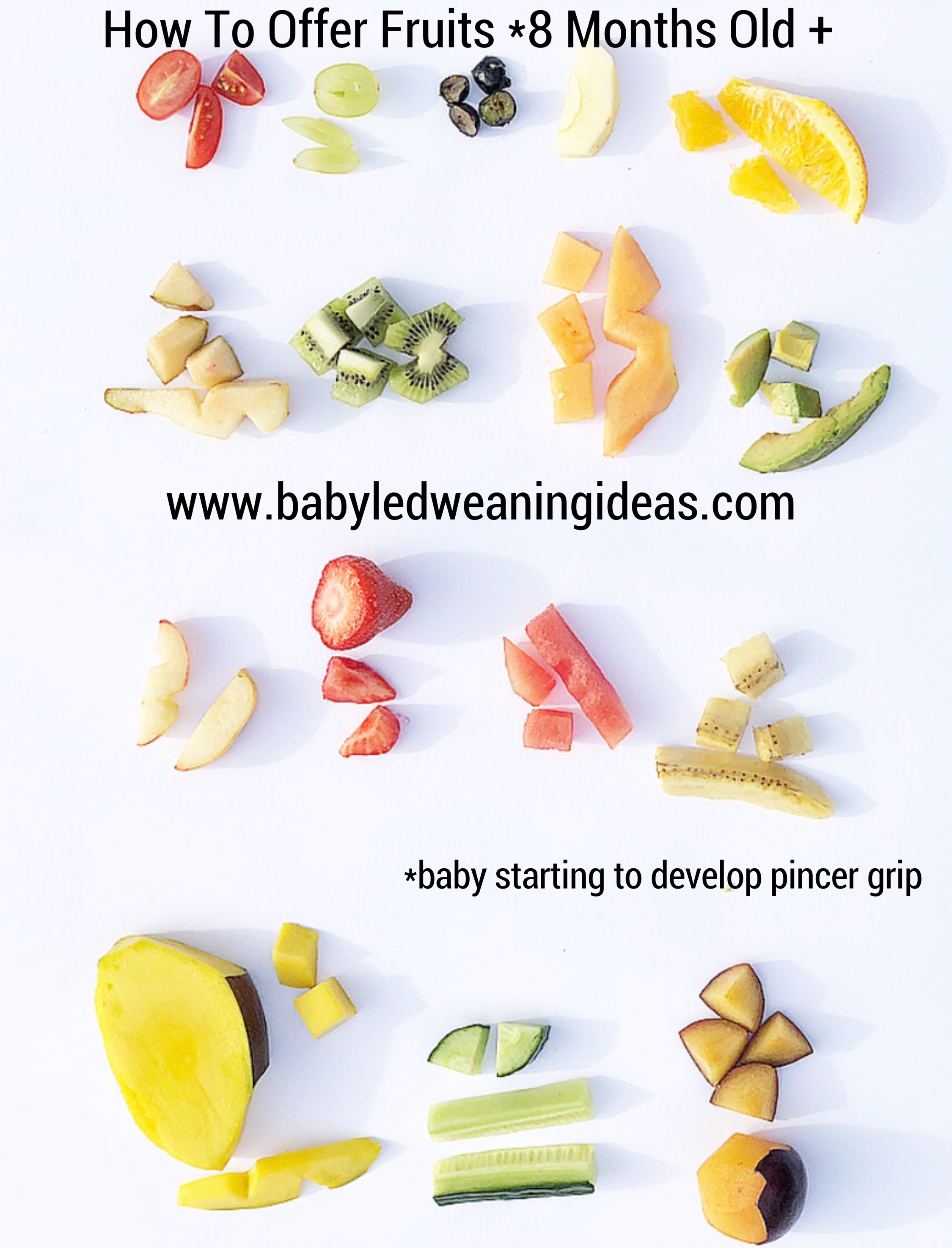 8 month old baby food list
